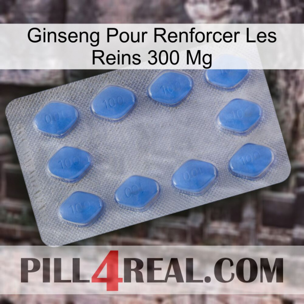 Ginseng For Reinforcing Kidney 300 Mg 21